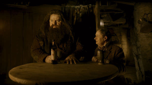 Harry Potter and the Half-Blood Prince #11