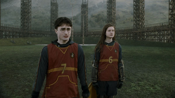 Harry Potter and the Half-Blood Prince #13