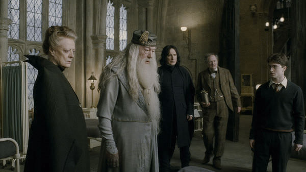 Harry Potter and the Half-Blood Prince #15