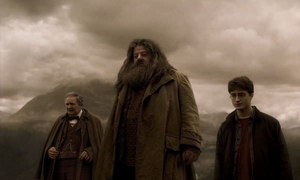 Harry Potter and the Half-Blood Prince #6