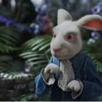 TMCTWISP, THE WHITE RABBIT