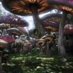 UNDERLAND