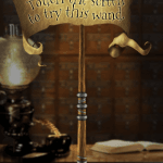 2010-08-08_harrypotterapp8
