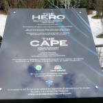 The Cape goes viral in Madison Square Park, New York