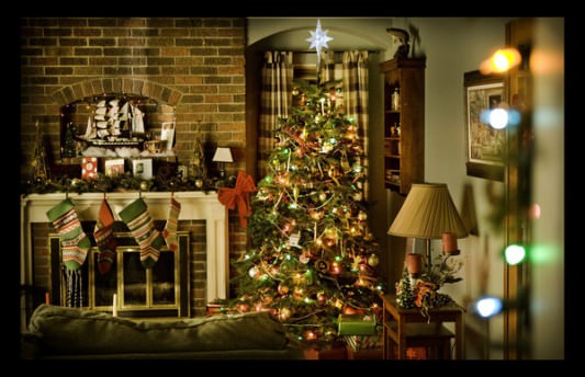 Twilight - Breaking Dawn - Christmas