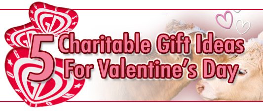 5 Charitable Last-Minute Gift Ideas For Valentine's Day