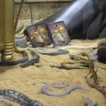 SDCC 2012: Preview night photos: Indiana Jones: The Complete Adventures Blu-ray with LIVE snakes