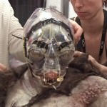 The Hobbit Production Diary Image