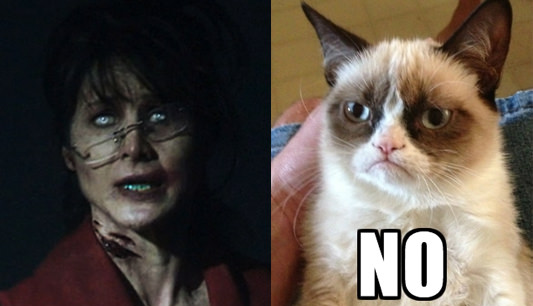 Grumpy Cat hates politics