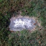 In TechGOnzo's Yard we find... Not a Dog!!