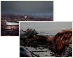 Cloverfield Website Photos