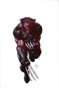 Jason Aarons Wolverine Omnibus