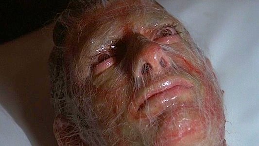 Invasion of the Body Snatchers (1978 film) 