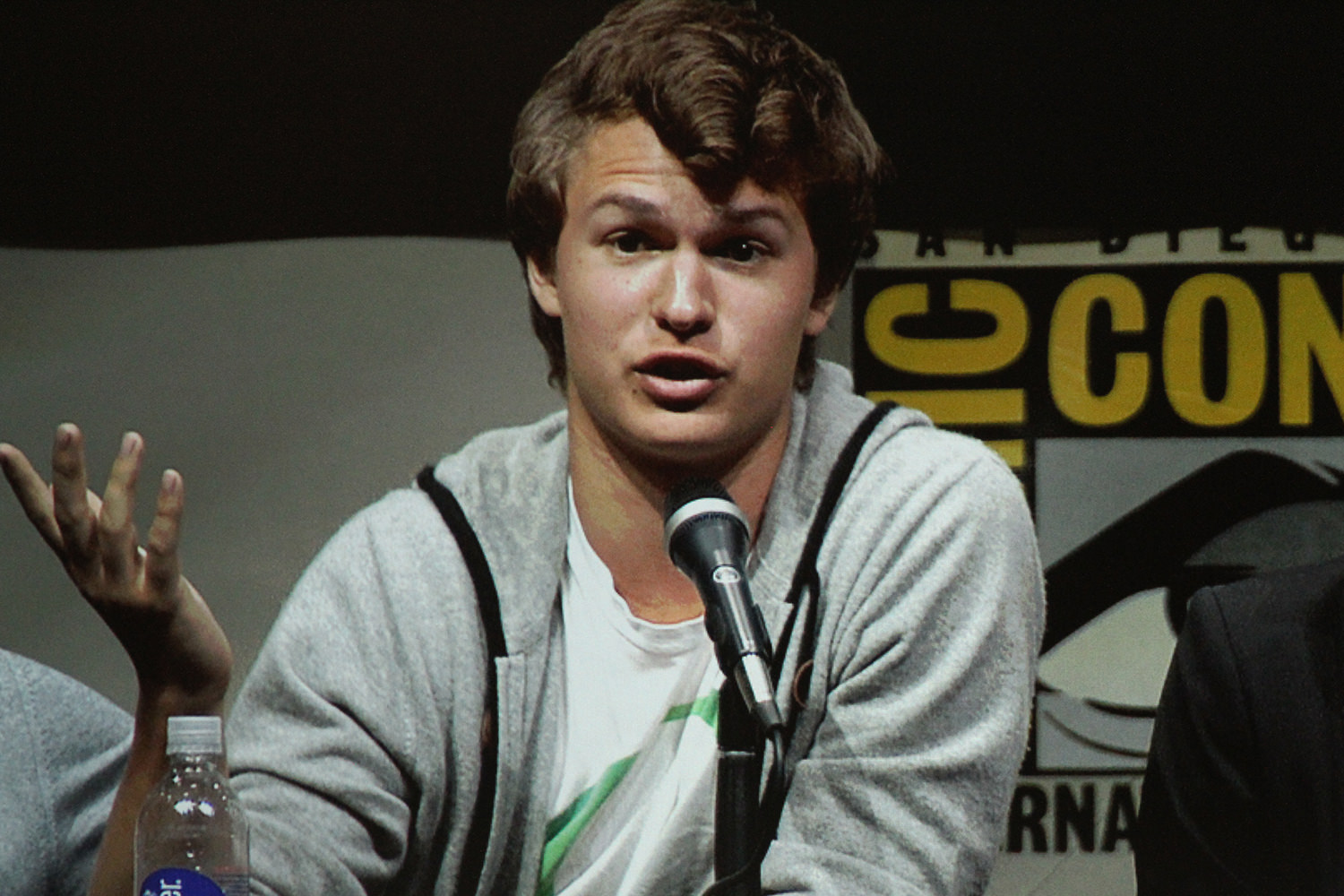 SDCC 2013: Divergent panel: Ansel Elgort