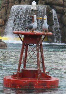 Finding Nemo Seagulls