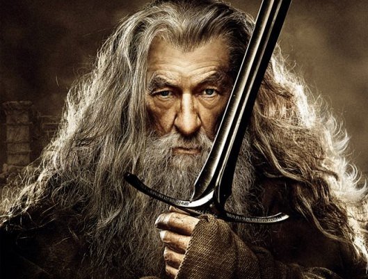 The Hobbit: The Desolation of Smaug Gandalf Header