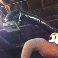 The Muppets Selfies: Gonzo