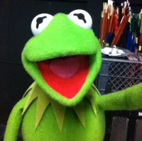The Muppets Selfies: Kermit