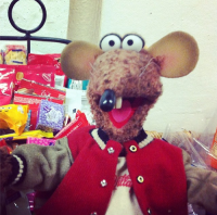 The Muppets Selfies: Ratso