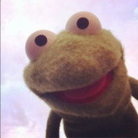 The Muppets Selfies: Robin