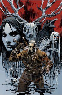 The Witcher #1 cover by Dan Panosian and Dave Johnson