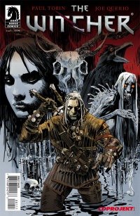 The Witcher #1 cover by Dan Panosian and Dave Johnson