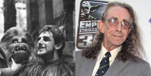 Peter Mayhew Then Now