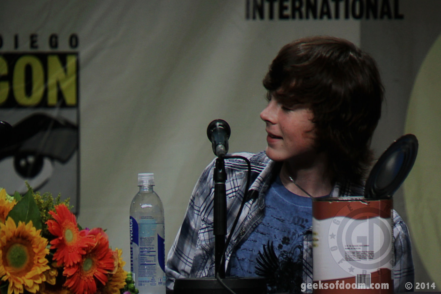 walking-dead-panel-chandler-riggs-02
