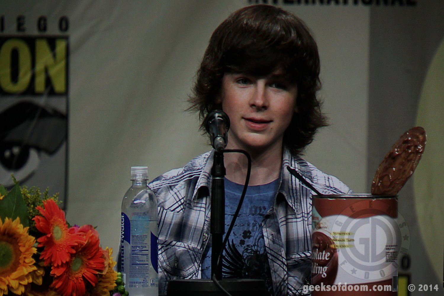 Walking-dead-panel-chandler-riggs-06