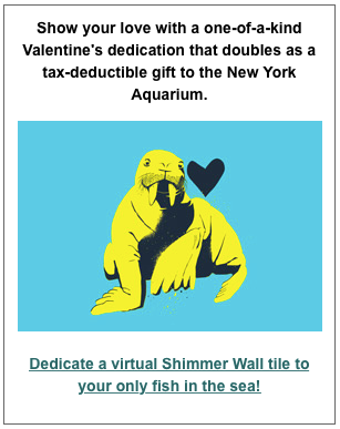 NY Aquarium Shimmer Wall gift