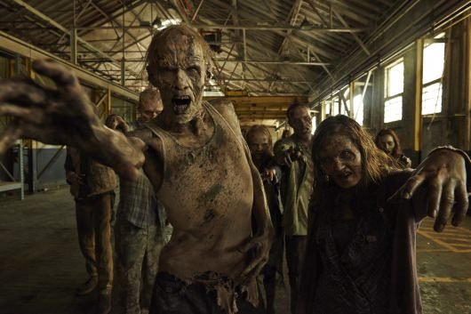 The Walking Dead Season 5 dvd Gallery 01