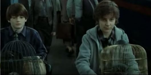 Harry Potter sons Albus and James Harry Potter Epilogue