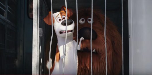 The Secret Life Of Pets trailer image