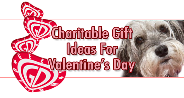 Valentine's Day charitable gift ideas