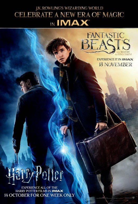 Harry Potter and Fantastic Beasts Poster