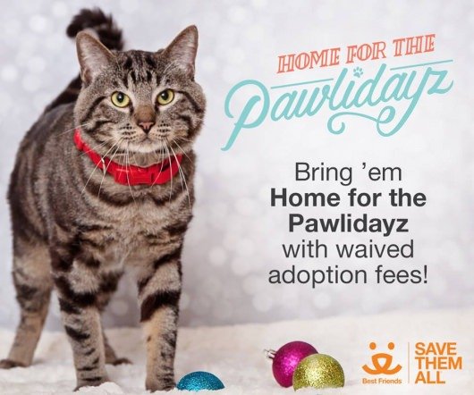 Best Friends Animal Society Pawlidayz promotion