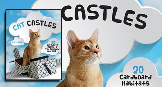 Cat Castles book banner