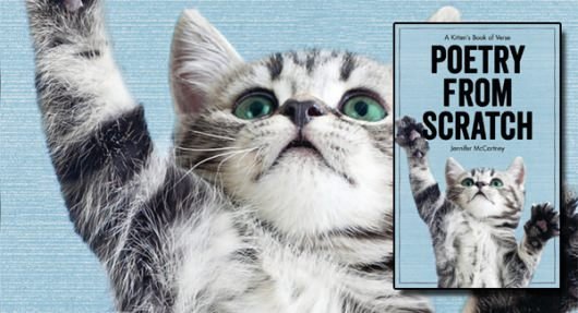 Poetry from Scratch book banner