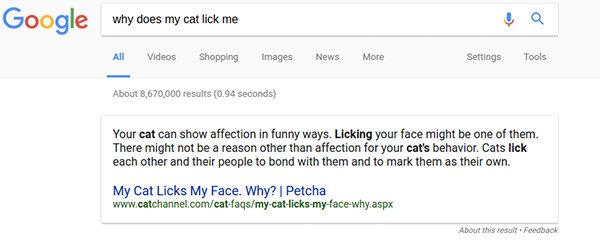 Google Home Search Result