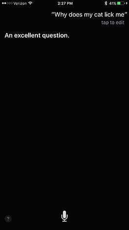 Apple Siri general info search