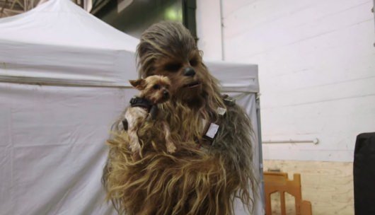 Chewbacca, Star Wars: Force For Change