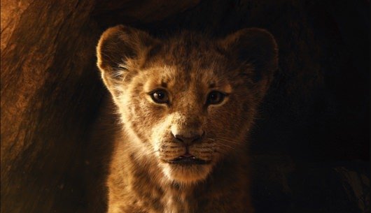 The Lion King header image